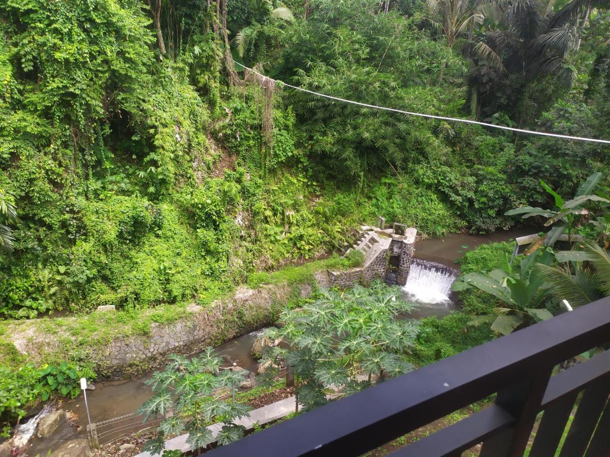 kelapa gading villas Banyuwangi  Bagian luar foto